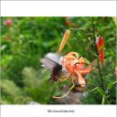 월통교 옆(덕우리) | 은둔의 땅에서 피리를 불던 연산군의 네 세자(덕산기&amp; 취적봉)