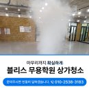 블리스무용학원 네이버블로그