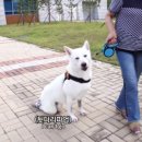 석연농장 이미지