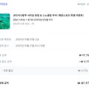 호텔반딧불이 | 코타키나발루 호핑&스노쿨링 + 봉가완 반딧불이 투어 내돈내산 후기(꿀팁 준비물, 점심 후기)