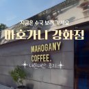 딸기공인중개사 | 강화도 대형카페 마호가니 강화점 내돈내산 후기｜지금은 수국 보러 가기 좋은 곳