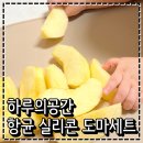 내 마음은 도마도마 Gr | 이유식도마 추천 국내생산 99.9% 항균 하루의공간 항균 실리콘 도마세트