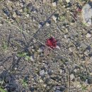 변산농장2 이미지