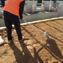 리라자연유치원 이미지