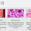 C20 이미지