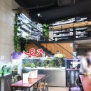 애견수족관 이미지