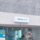 하화 | 광주 서구 화정동 하화 원데이 클래스 후기 ,곰손도 금손 되는 감성 꽃다발 만들기 후기.