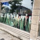 고담한의원 이미지