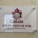 수원고양이호텔 가토캣슬 이미지