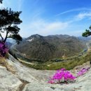 용궐산자연휴양림 이미지