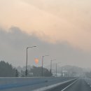 용인대서원태권도장 이미지