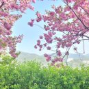 완산공원(아래) 이미지