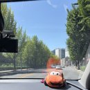 쌍수 절개 세미 인아웃 안검하수 지방 제거 앞트임 붓기 기간 1-10일 내돈내산 후기