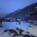 화천포레스트 | 강원도단체펜션 산천어축제와도 가까운 포레스트밸리 펜션