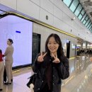 샵무인텔 | 1탄 가을 제주 여행 3박 4일 일정 공유 맛집과 숙소, 감성 카페까지 (1-2일차)