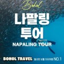 노스랜드투어