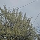 연결고리 | 대구로테이션소개팅 후기 연결고리 직장인 소개팅 가격 결과