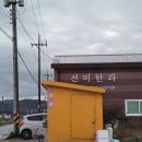 강릉사천호떡