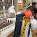 5761 | [청주 주중동] 청주실내동물원 데이트가능한 버드앤쥬 방문후기 / 청주아이와 가볼만한 곳