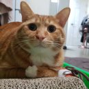 해성 지역아동센터 이미지