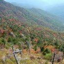 지리산치과의원 이미지