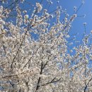 대가야추어탕 이미지