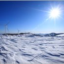 삼양목장 이미지