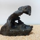 귀암 Daum카페