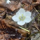 바람꽃공원 이미지