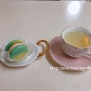 단스부띠끄 이미지