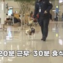 대한민국1호 이미지