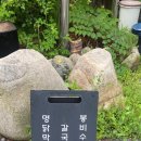 명봉닭갈비막국수 이미지