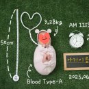 본아트 촬영 후기 [일그램스튜디오]