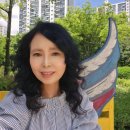 다모아부동산중개사무소 이미지