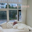 힐링스테이 | [범계 속눈썹]'래쉬힐링스테이 범계' 방문 후기 (펌포인트)