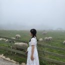 위드목장 이미지