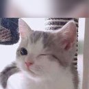 해피매직
