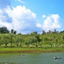 북서울꿈의숲 이미지