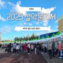 제60회 탐라문화제 | 속초 설악문화제 2025｜제60회 행사 일정·공연·체험 정보 한눈에