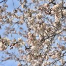 나주포차 이미지