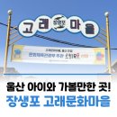 동광한의원 | [공지] 울산 가볼만한곳 장생포고래문화마을🐋 후기｜아이와 시간여행 코스 추천｜울산 아이와 가볼만한...