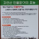 강경농장 이미지