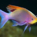 유니스어학원 이미지