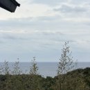 수팬션 | 대마도 이즈하라항 이즈하라팬션 숙소 후기