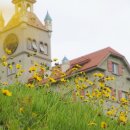 가평순환버스A코스 이미지