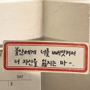굿바이 5월