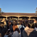 개예쁘다 런닝센터 | [도쿄] 도쿄 디즈니씨 평일 오픈런부터 폐장까지, DPA샀는데 엘사 고장, 퍼레이드 자리 추천