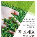 에코뜰 이미지