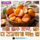 감귤약국 | 맛있는 귤 고르는 법과 귤의 효능, 귤껍질 차, 농약 걱정 없이 안전하게 마시는 세척 꿀팁