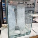 엠디케이 이미지